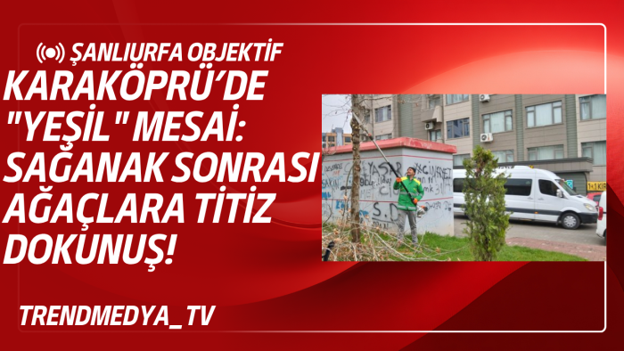 Karaköprü’de "Yeşil" Mesai: Sağanak Sonrası Ağaçlara Titiz Dokunuş!